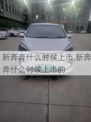 新奔奔什么时候上市,新奔奔什么时候上市的