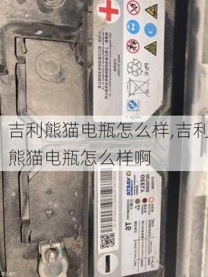 吉利熊猫电瓶怎么样,吉利熊猫电瓶怎么样啊