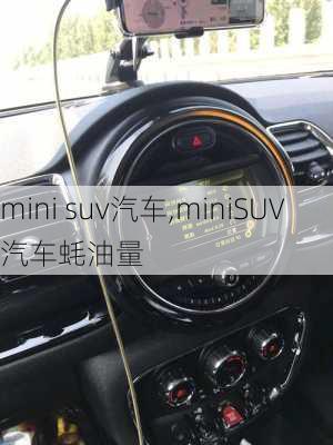 mini suv汽车,miniSUV汽车蚝油量