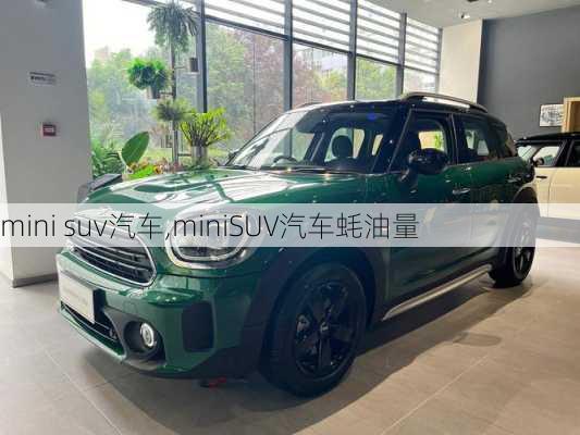 mini suv汽车,miniSUV汽车蚝油量