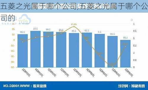 五菱之光属于哪个公司,五菱之光属于哪个公司的