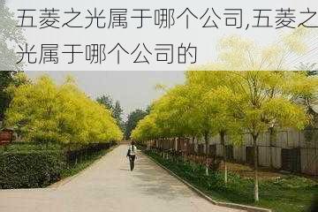 五菱之光属于哪个公司,五菱之光属于哪个公司的