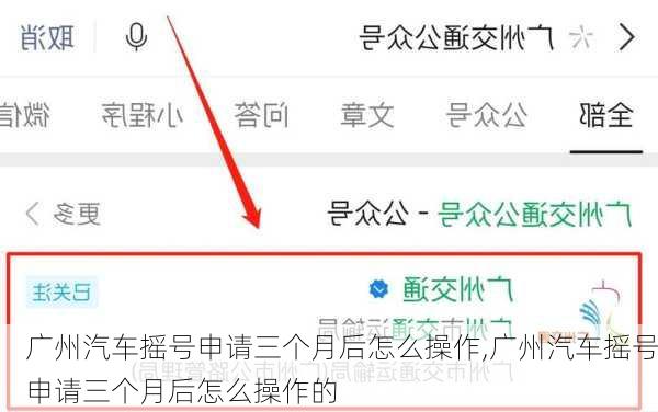 广州汽车摇号申请三个月后怎么操作,广州汽车摇号申请三个月后怎么操作的