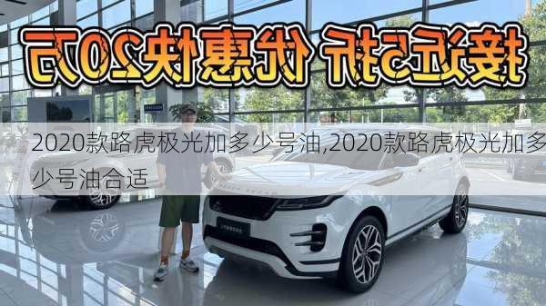 2020款路虎极光加多少号油,2020款路虎极光加多少号油合适