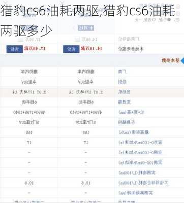 猎豹cs6油耗两驱,猎豹cs6油耗两驱多少