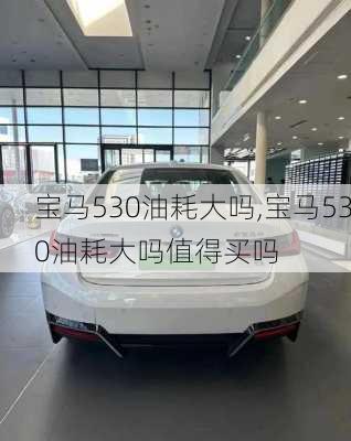 宝马530油耗大吗,宝马530油耗大吗值得买吗