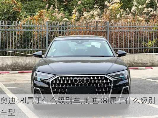 奥迪a8l属于什么级别车,奥迪a8l属于什么级别车型