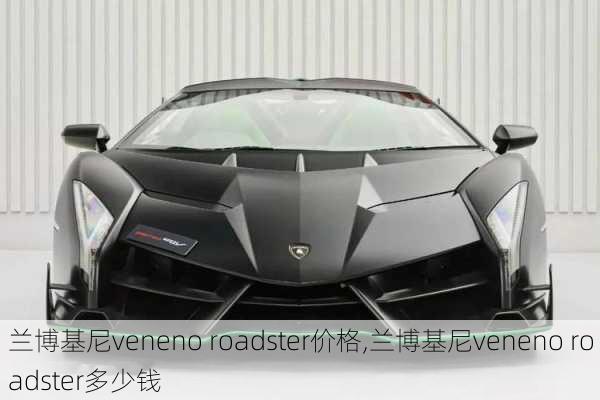 兰博基尼veneno roadster价格,兰博基尼veneno roadster多少钱