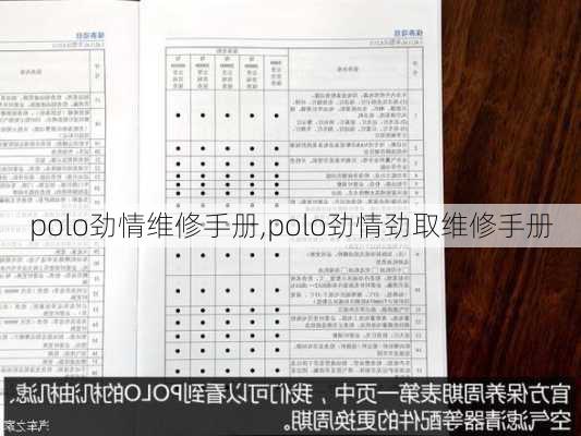 polo劲情维修手册,polo劲情劲取维修手册