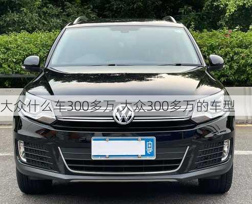 大众什么车300多万,大众300多万的车型