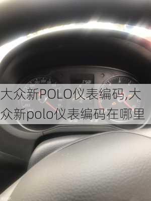 大众新POLO仪表编码,大众新polo仪表编码在哪里