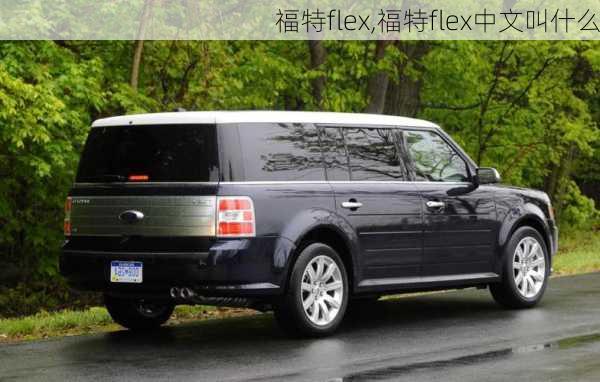 福特flex,福特flex中文叫什么