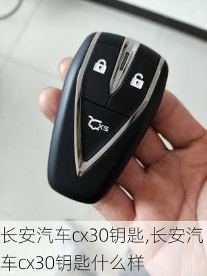 长安汽车cx30钥匙,长安汽车cx30钥匙什么样