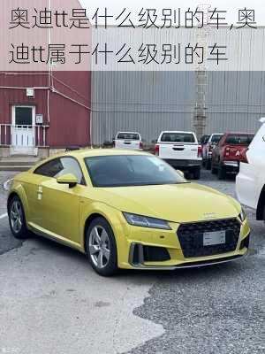 奥迪tt是什么级别的车,奥迪tt属于什么级别的车