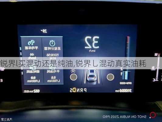 锐界l买混动还是纯油,锐界乚混动真实油耗