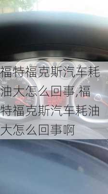 福特福克斯汽车耗油大怎么回事,福特福克斯汽车耗油大怎么回事啊