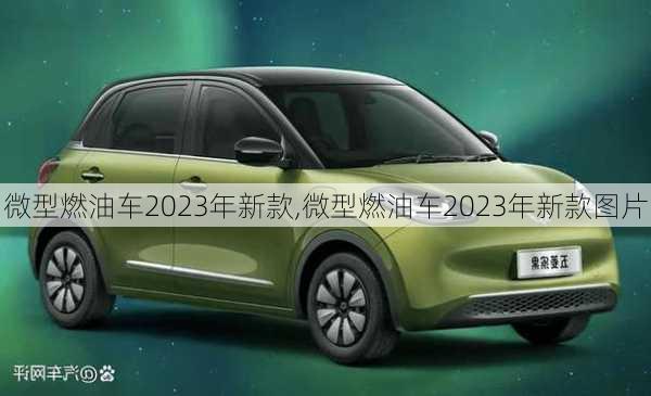 微型燃油车2023年新款,微型燃油车2023年新款图片