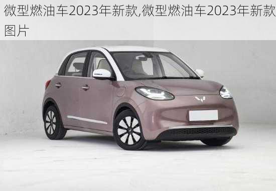 微型燃油车2023年新款,微型燃油车2023年新款图片