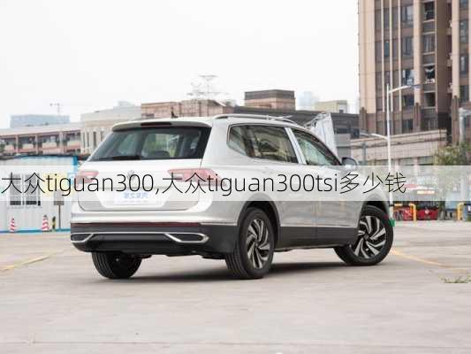 大众tiguan300,大众tiguan300tsi多少钱