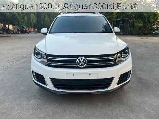 大众tiguan300,大众tiguan300tsi多少钱