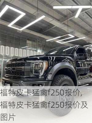 福特皮卡猛禽f250报价,福特皮卡猛禽f250报价及图片