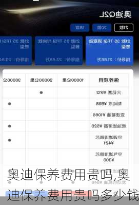 奥迪保养费用贵吗,奥迪保养费用贵吗多少钱