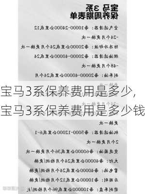 宝马3系保养费用是多少,宝马3系保养费用是多少钱