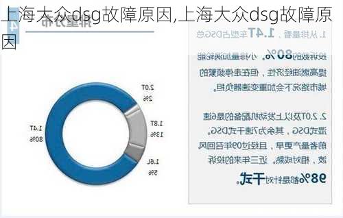 上海大众dsg故障原因,上海大众dsg故障原因