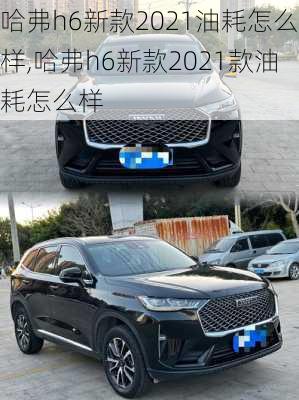 哈弗h6新款2021油耗怎么样,哈弗h6新款2021款油耗怎么样