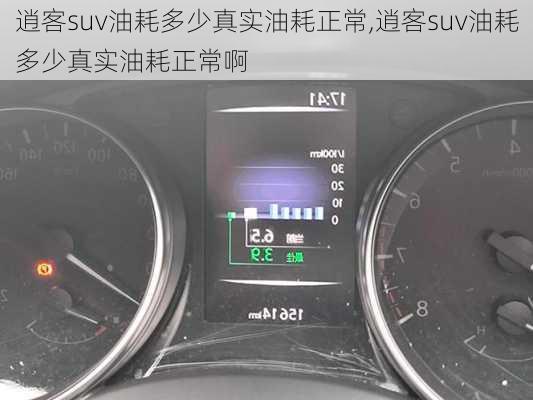 逍客suv油耗多少真实油耗正常,逍客suv油耗多少真实油耗正常啊