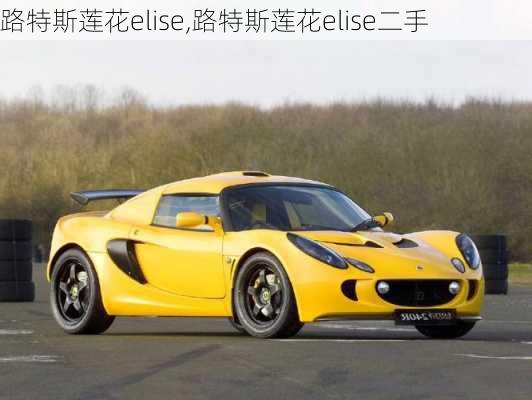 路特斯莲花elise,路特斯莲花elise二手