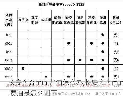 长安奔奔mini费油怎么办,长安奔奔mini费油是怎么回事