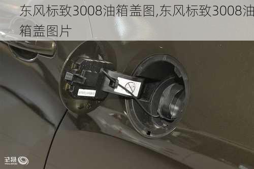 东风标致3008油箱盖图,东风标致3008油箱盖图片